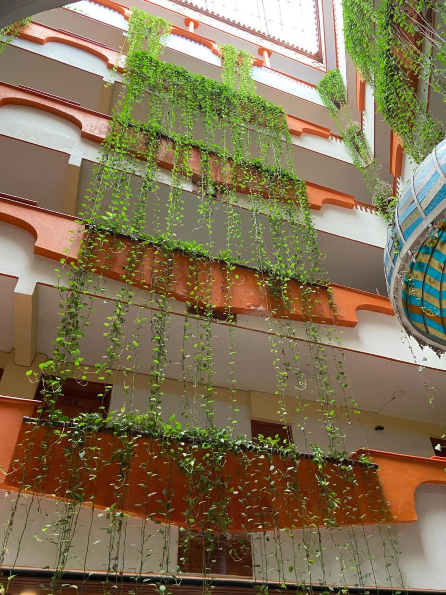 Hotel Báez Carrizal Villahermosa Kültér fotó