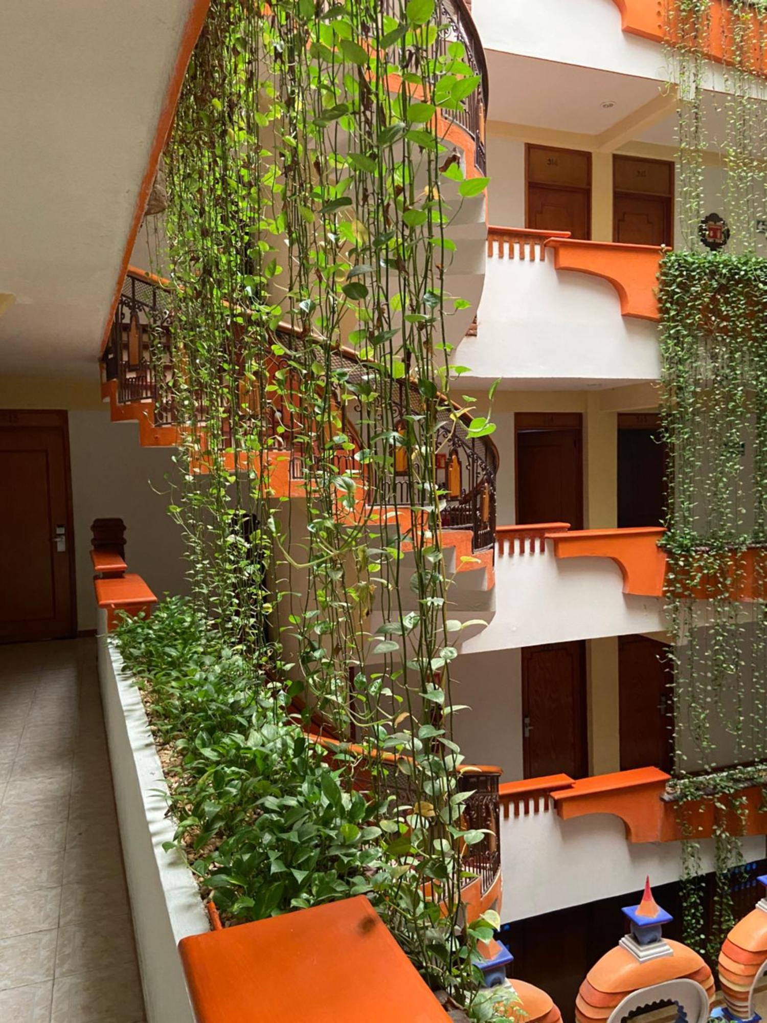 Hotel Báez Carrizal Villahermosa Kültér fotó